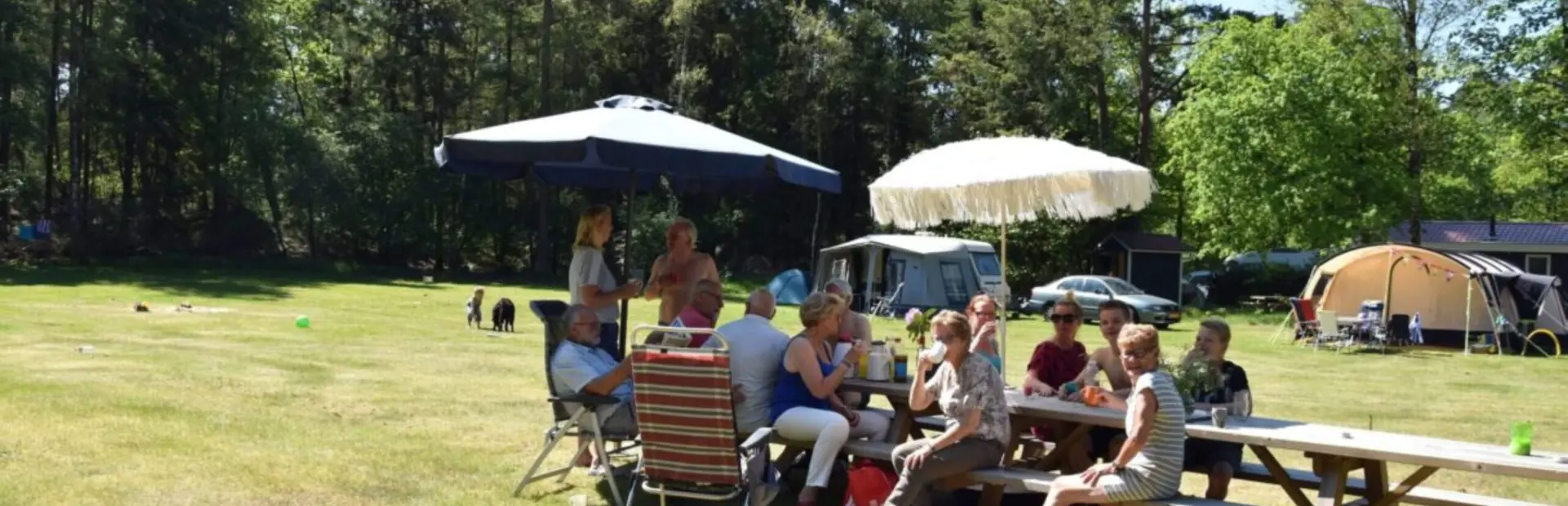 Gruppe Camping Ommen Camping Ommerland skaliert 1 1214x506 1
