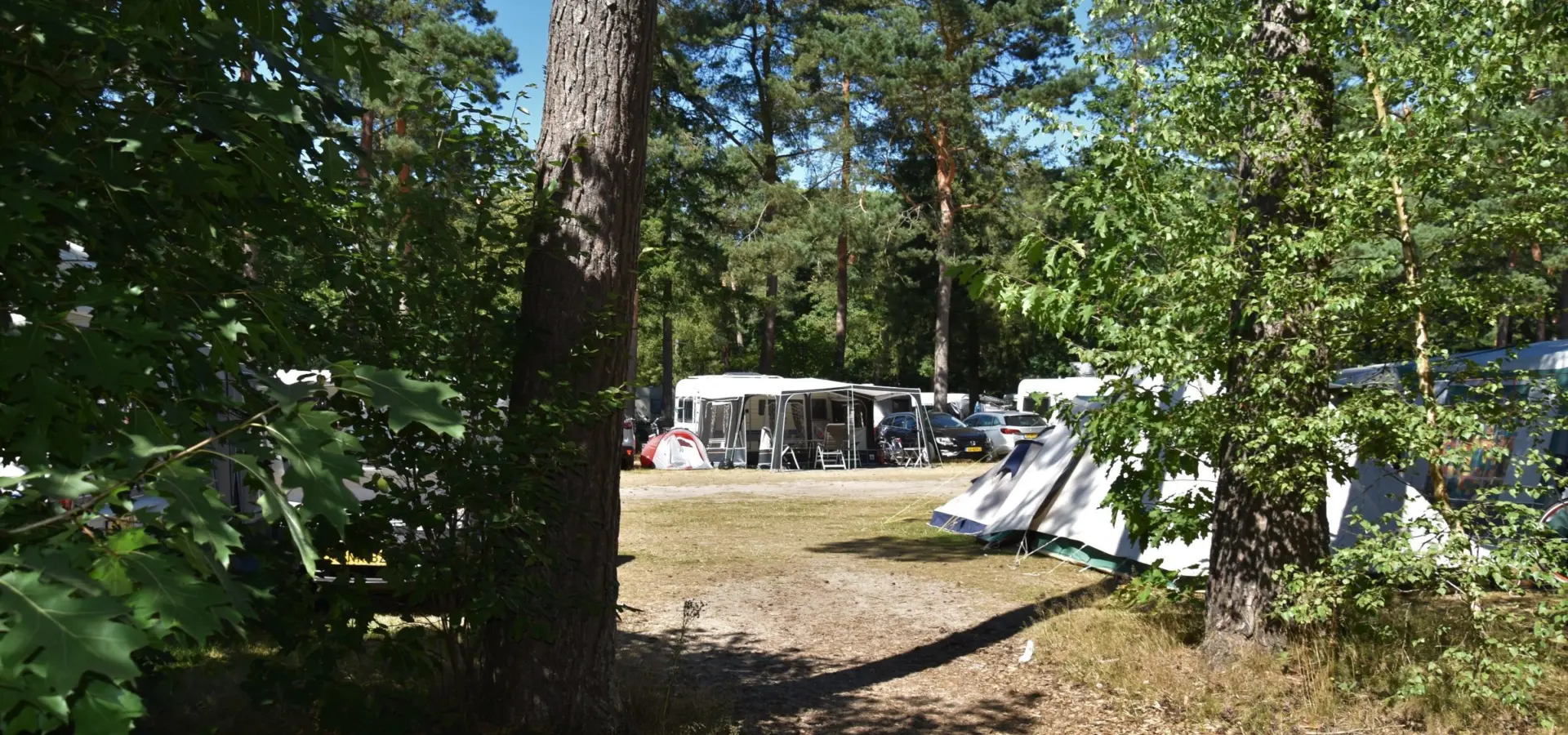 Camping Ommen mit Schwimmbäder 12