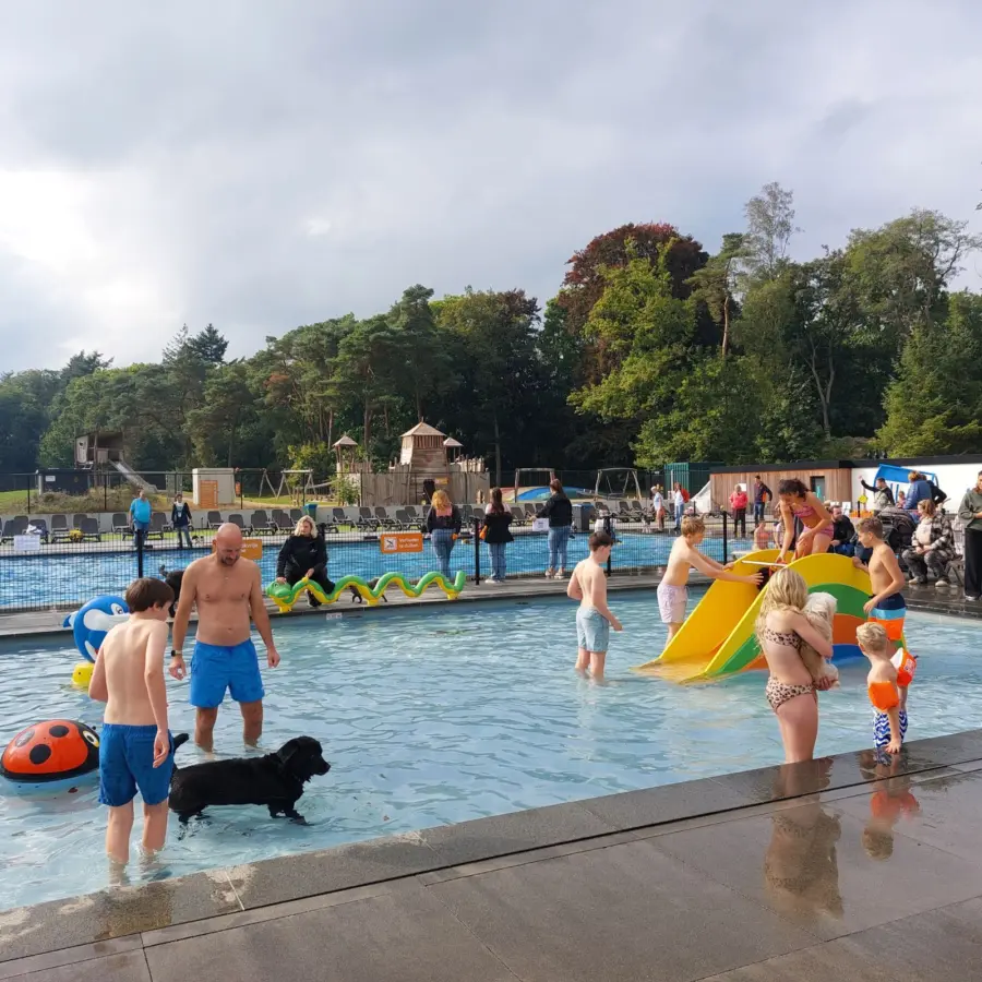 Hundecampingplatz Niederlande dog splash 7