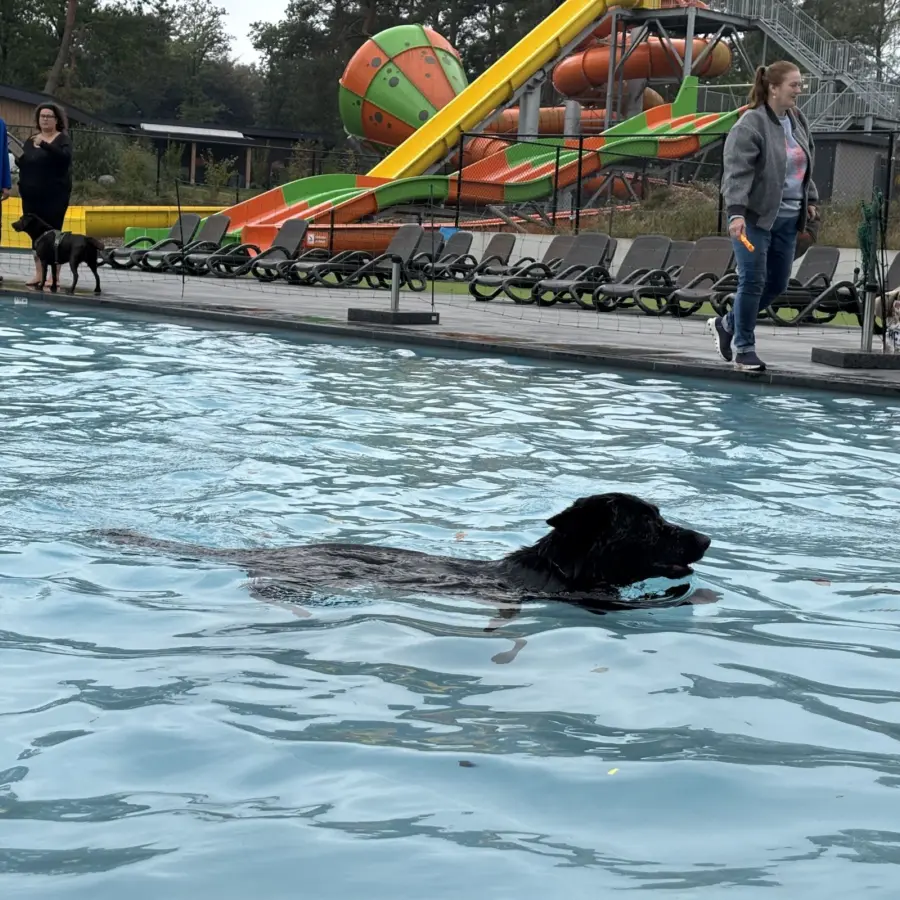 Hundecampingplatz Niederlande dog splash 8