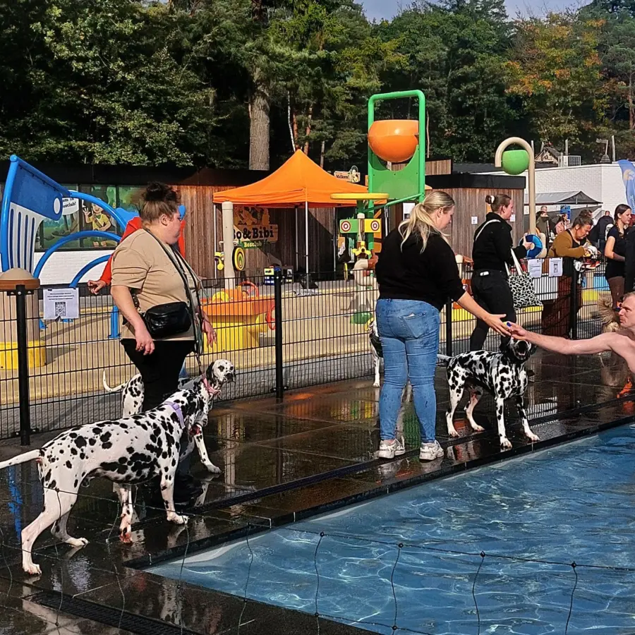 Hundecampingplatz Netherlands dog splash 27