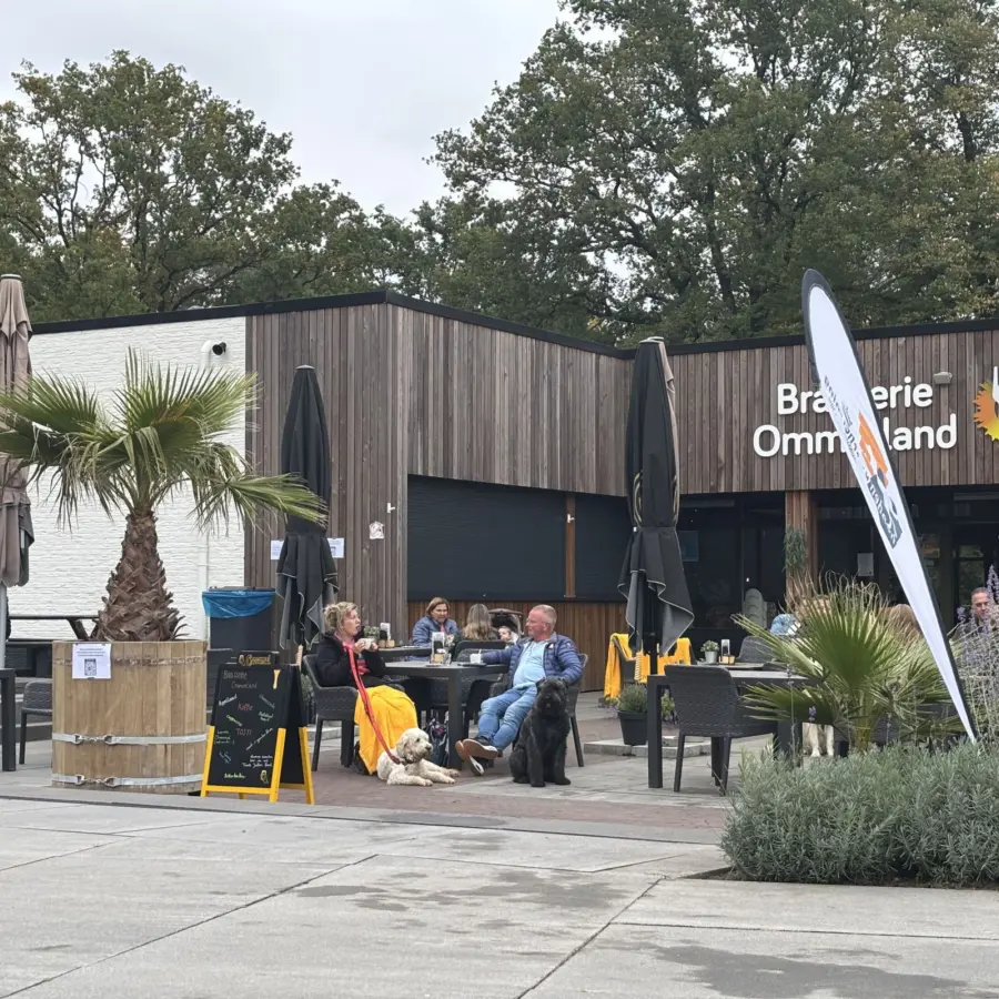 Hundecampingplatz Netherlands dog splash 33