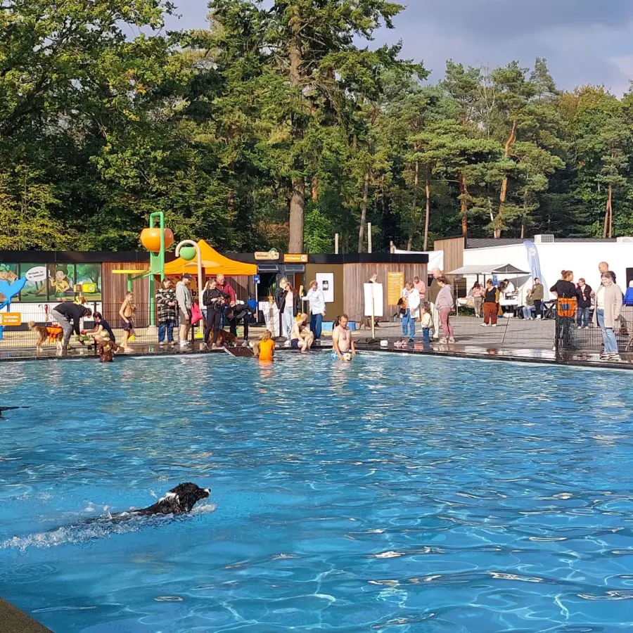 Hundecampingplatz Netherlands dog splash 36
