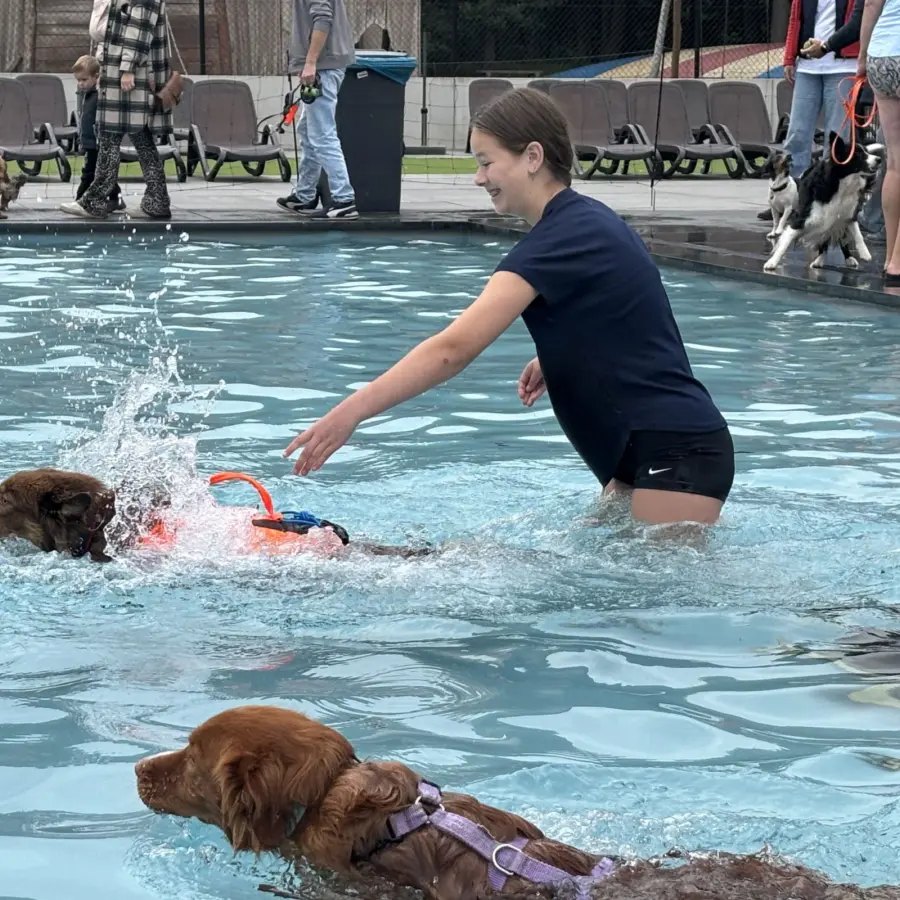 Hundecampingplatz Netherlands dog splash 42