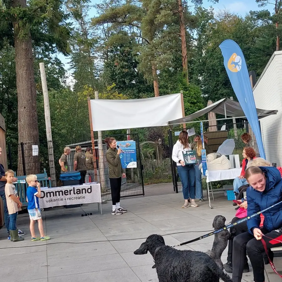 Hundecampingplatz Netherlands dog splash 45