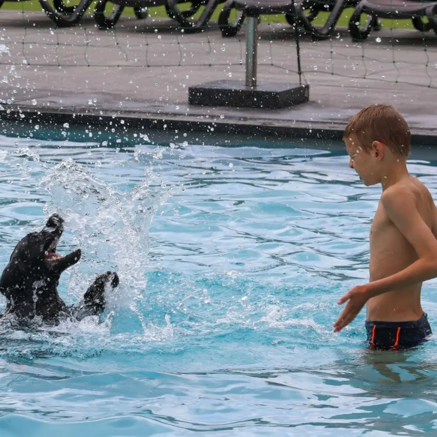 Hundecamping Niederlande dog splash 55
