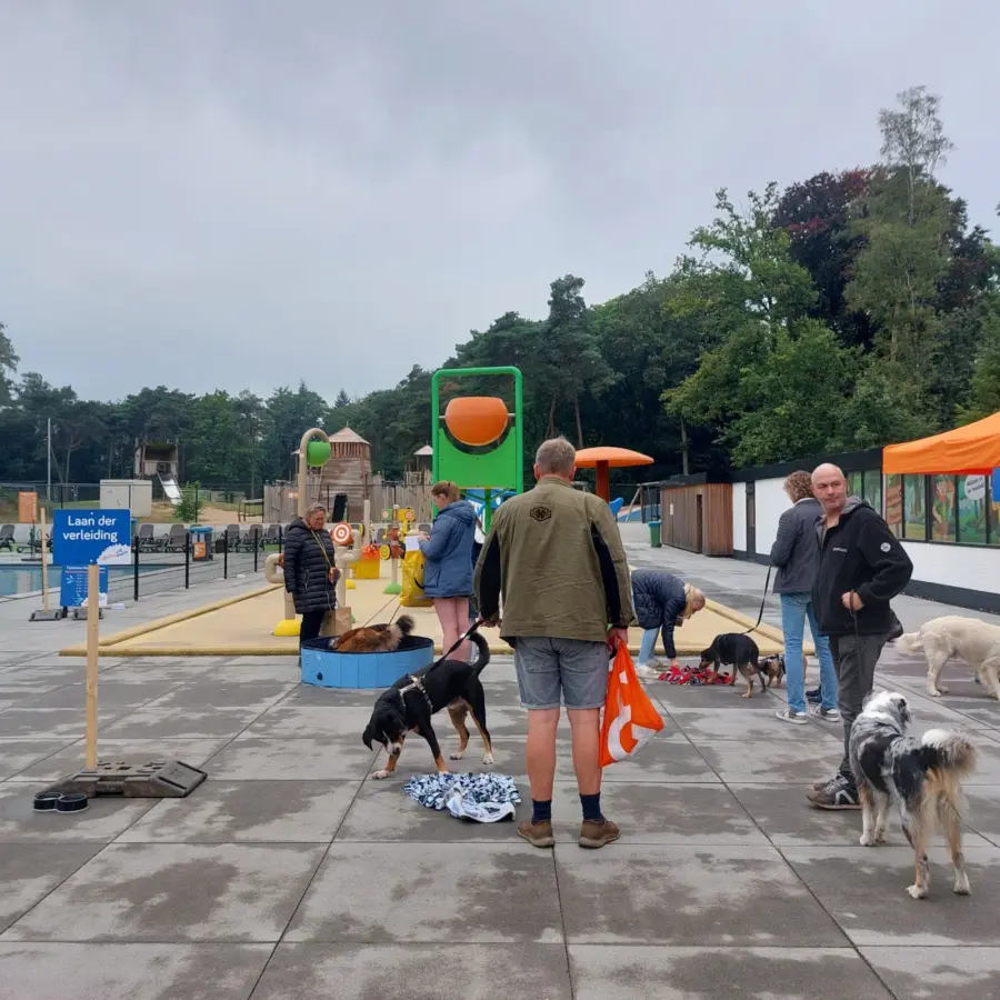 Hundecamping Niederlande dog splash 101