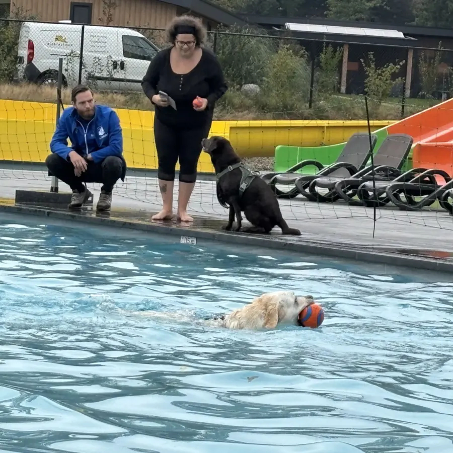 Hundecampingplatz Netherlands dog splash 104