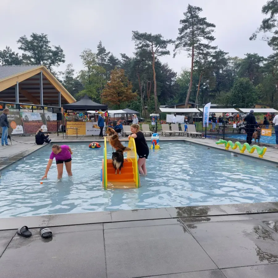 Hundecampingplatz Netherlands dog splash 111