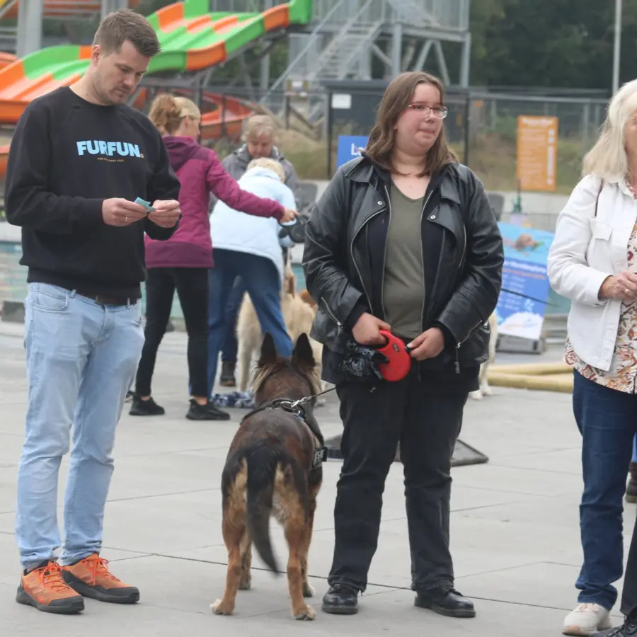 Hundecampingplatz Niederlande dog splash 3