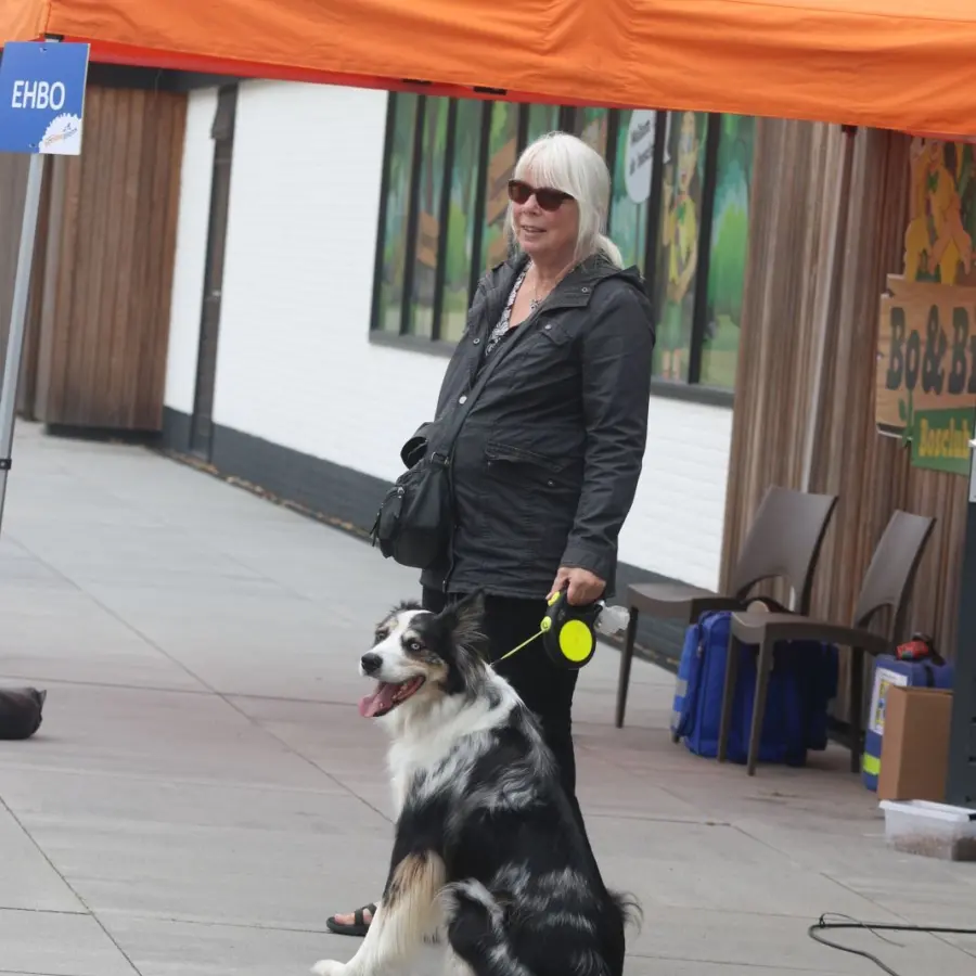 Hundecampingplatz Niederlande dog splash 7