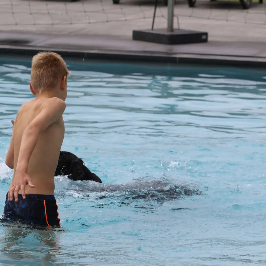 Hundecampingplatz Netherlands dog splash 17