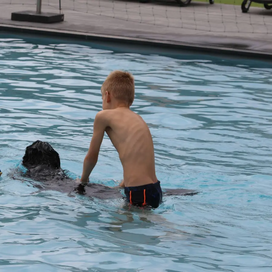 Hundecampingplatz Netherlands dog splash 19