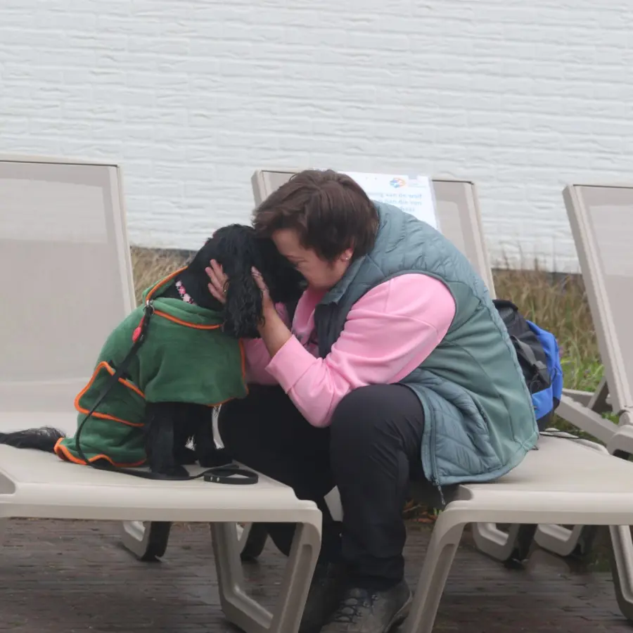 Hundecampingplatz Netherlands dog splash 49