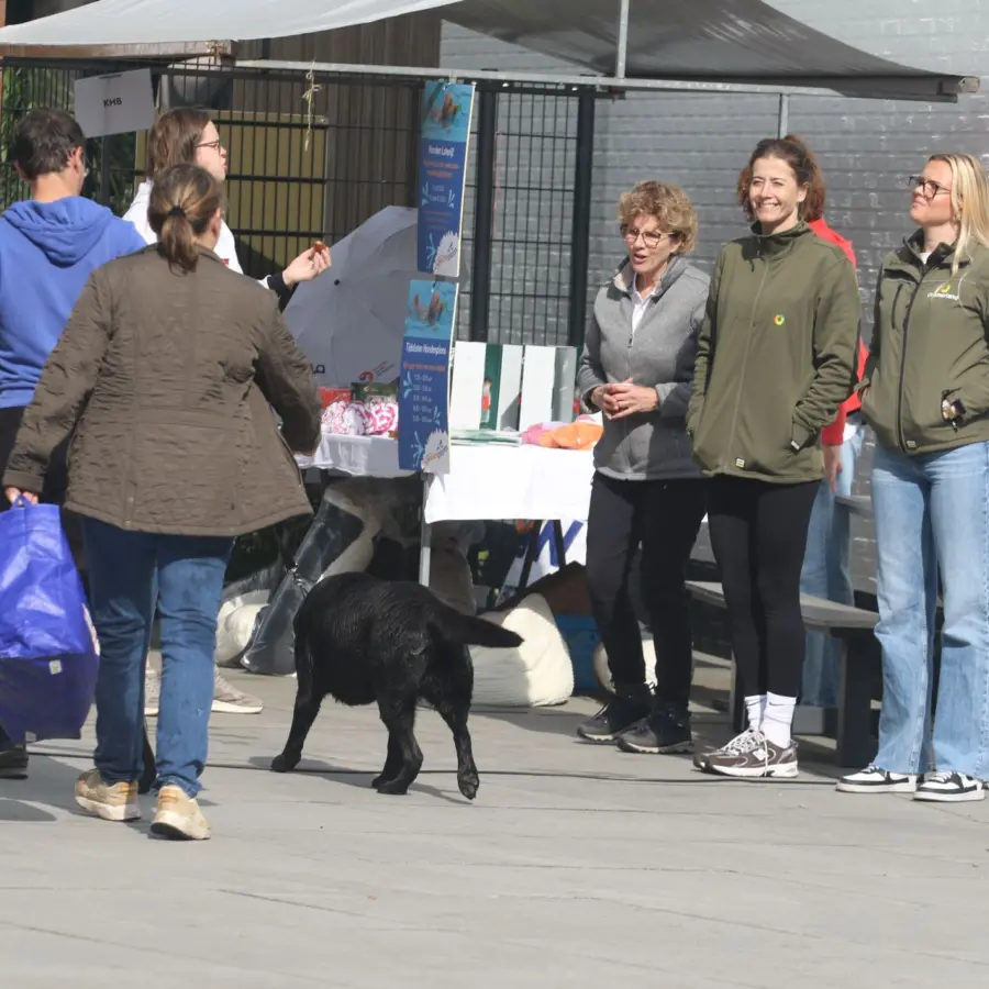 Hundecamping Niederlande dog splash 55
