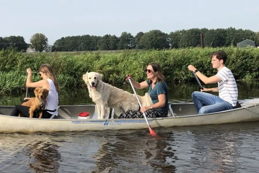 Hundeferien Ommen 2