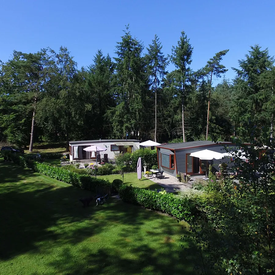 Chalet mit Grundstück kaufen Ommen 19