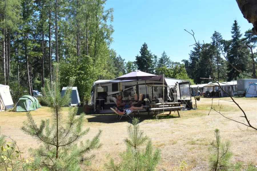 Camping Ommen Komfortplatz Ommerberg 13