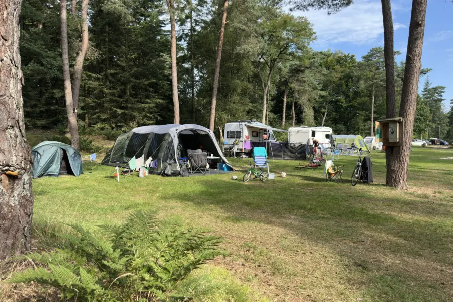 Campingplatz Overijssel Ommerberg 3
