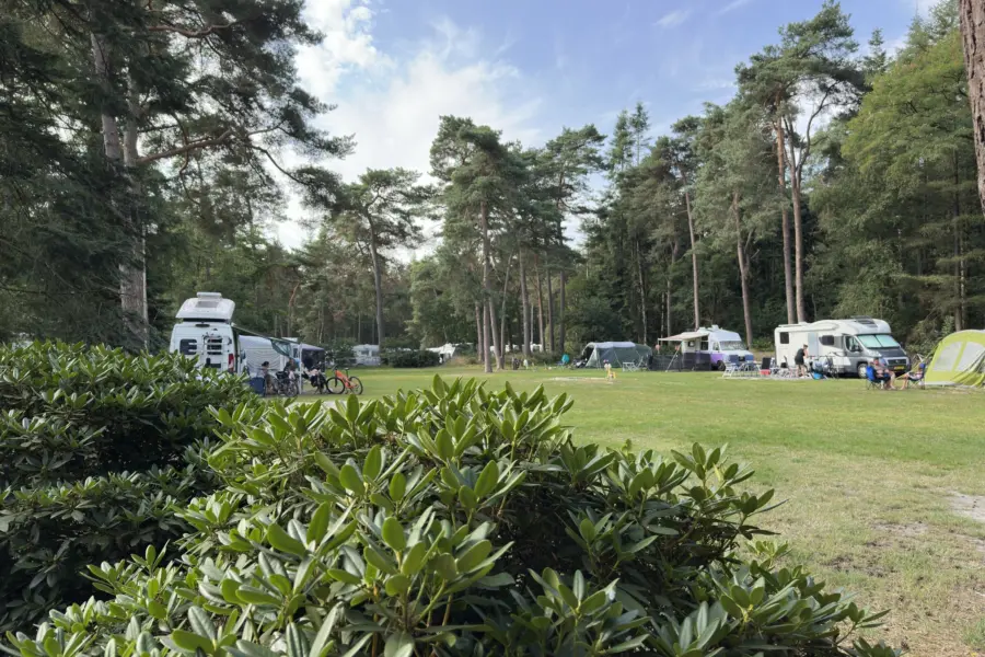 Campingplatz Overijssel Ommerberg 11