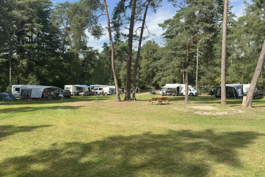 Campingplatz Overijssel Ommerbos 8