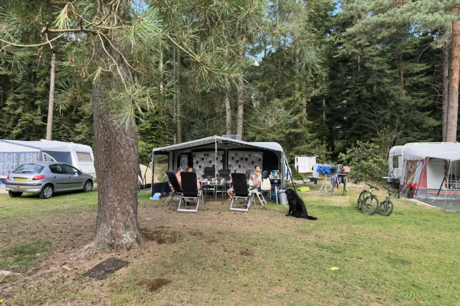 Campingplatz Overijssel Ommerberg 6
