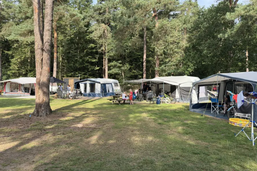 Campingplatz Overijssel Ommerberg 41