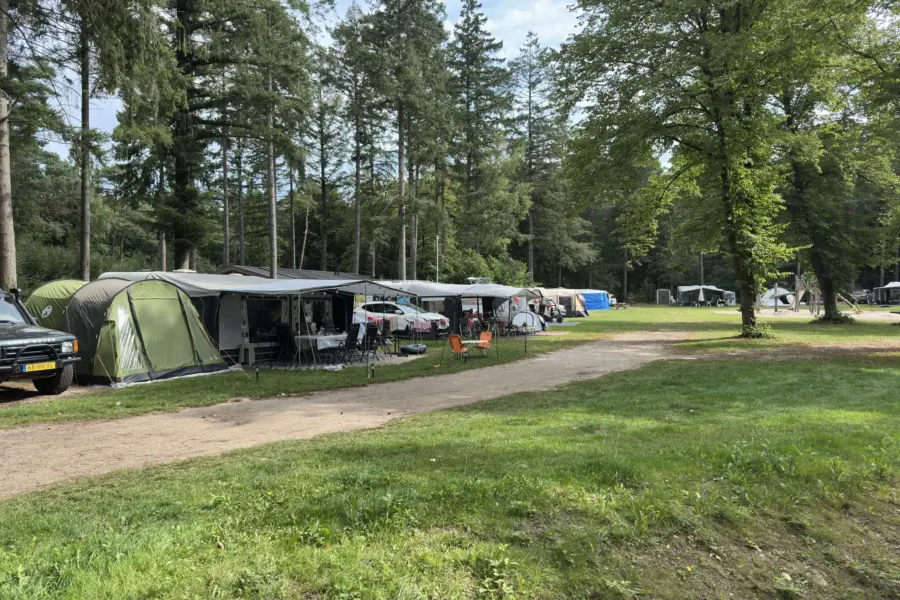 Campingplatz Overijssel Ommerhout 1