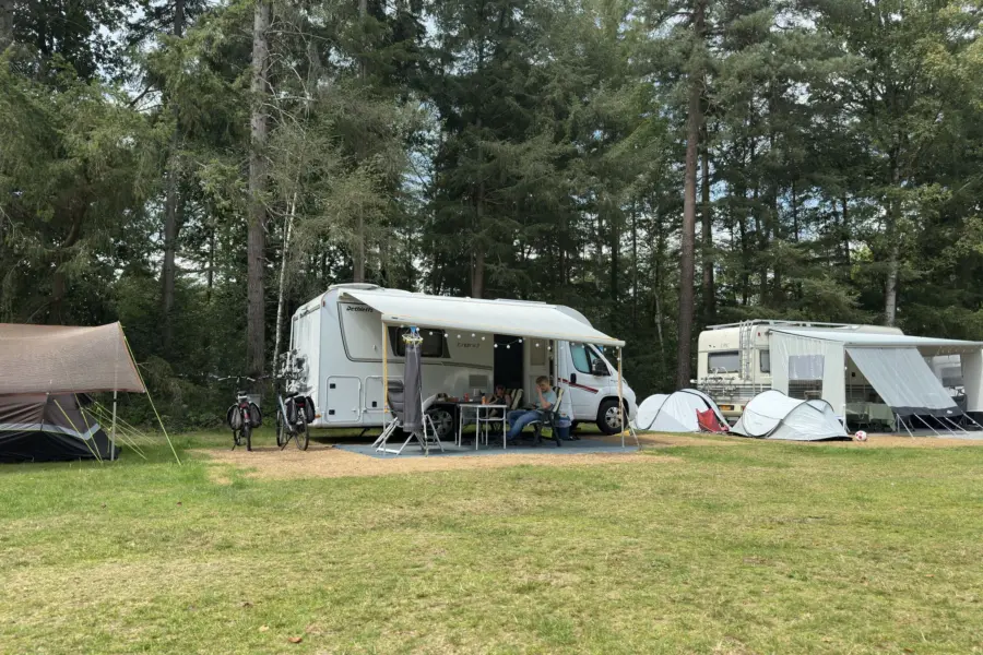 Hundecampingplatz Niederlande Ommervallei 38