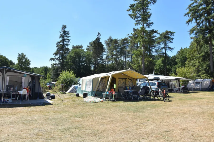 Camping Ommen Komfortplatz Ommergras 8