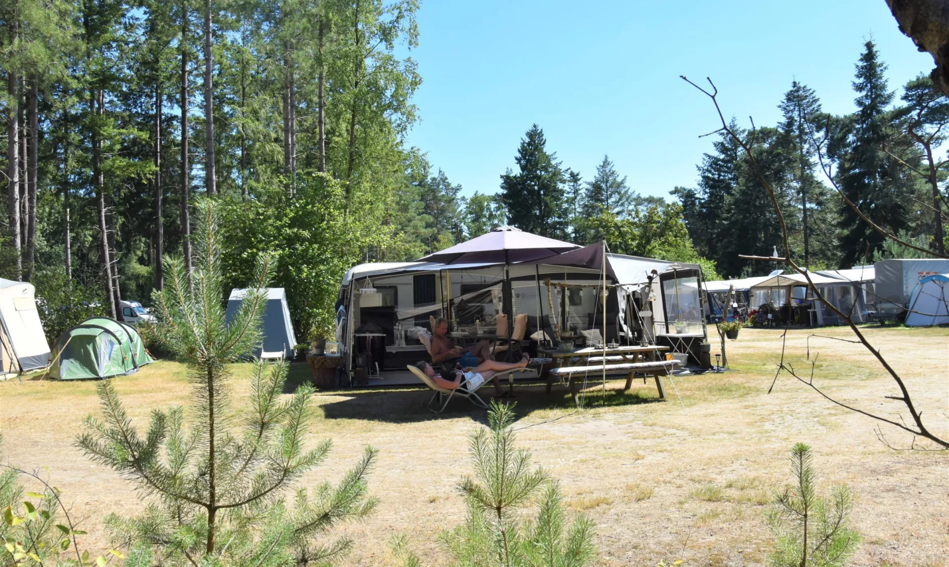 Camping Ommen comfort kampeerplaats Ommerberg 13