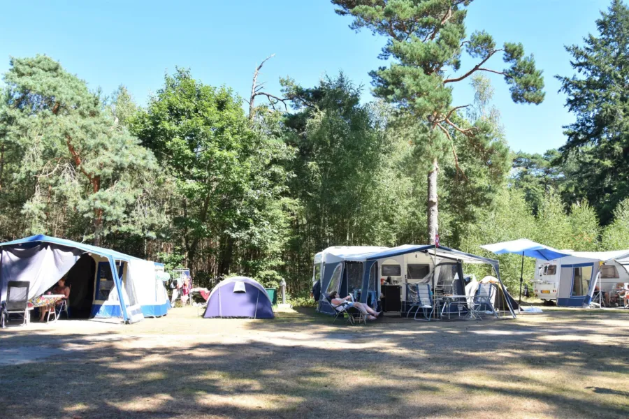 Camping Ommen Komfortplatz Ommerberg 3