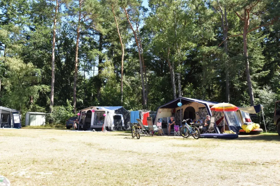 Camping Ommen Komfortplatz Ommerberg 5