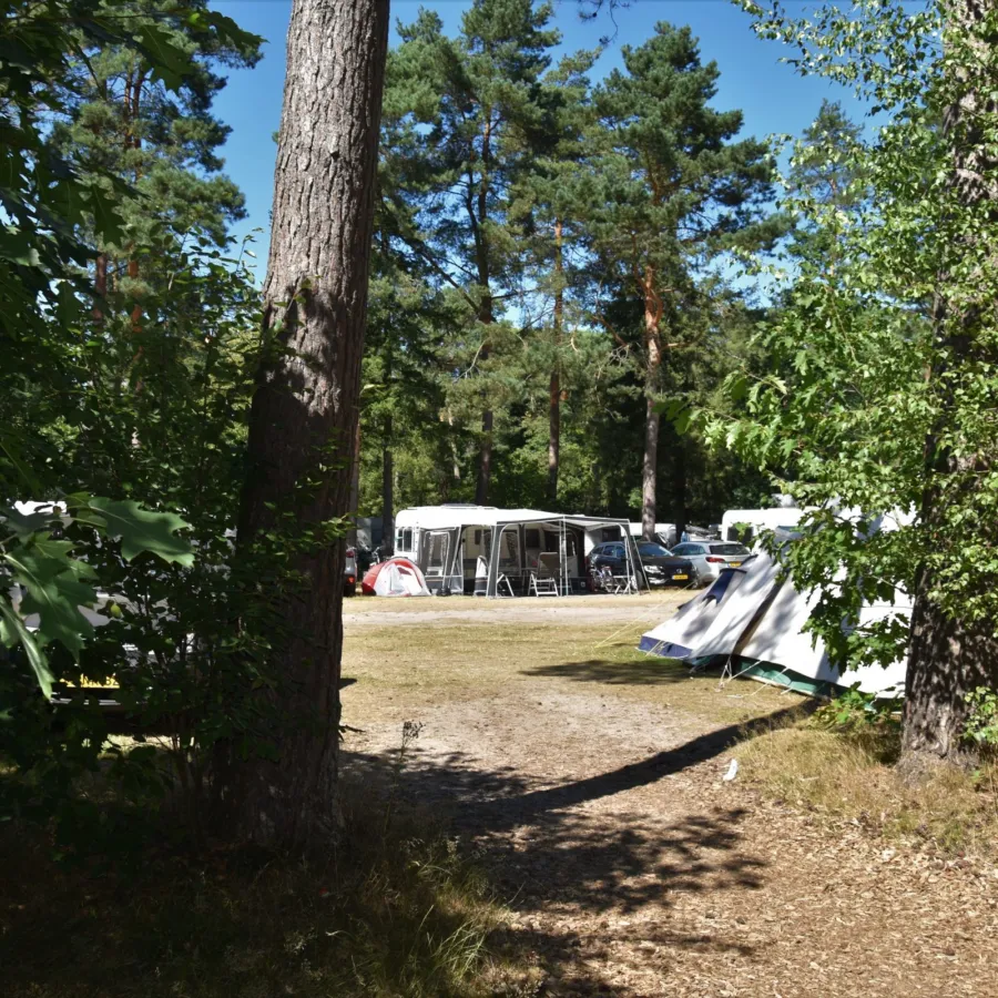 Camping Ommen Komfortplatz Ommerhout 2