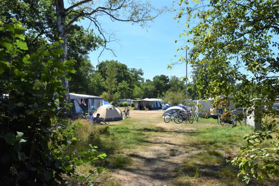 Camping Ommen Stellplatz Hunde erlaubt Ommergras 13