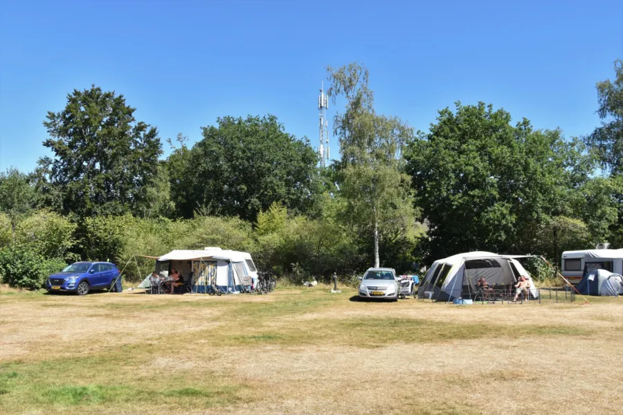 Camping Ommen Stellplatz Hunde erlaubt Ommergras 8