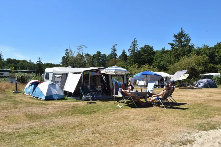 Camping Ommen Stellplatz Hunde erlaubt Ommergras 9
