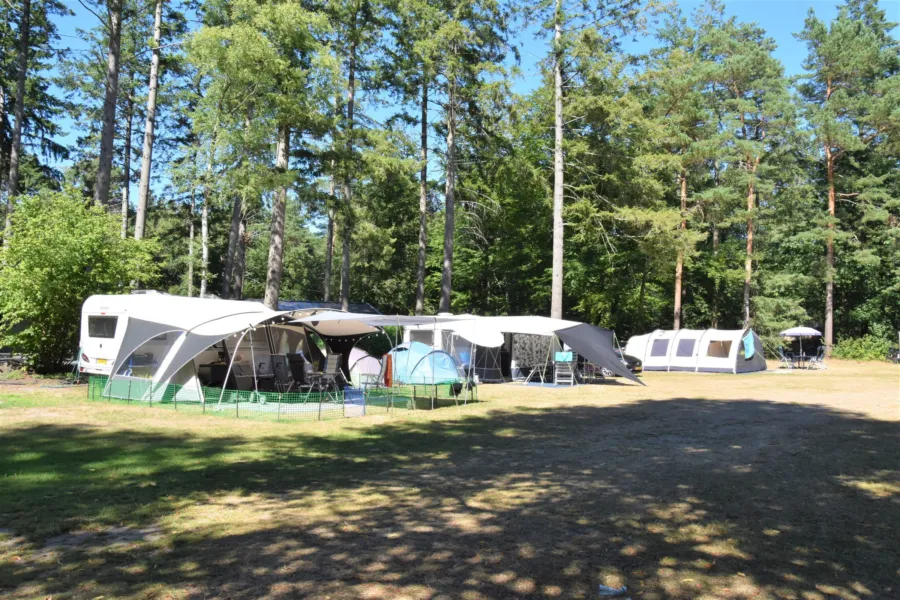 Camping Ommen Stellplatz Hunde erlaubt Ommerhout 2