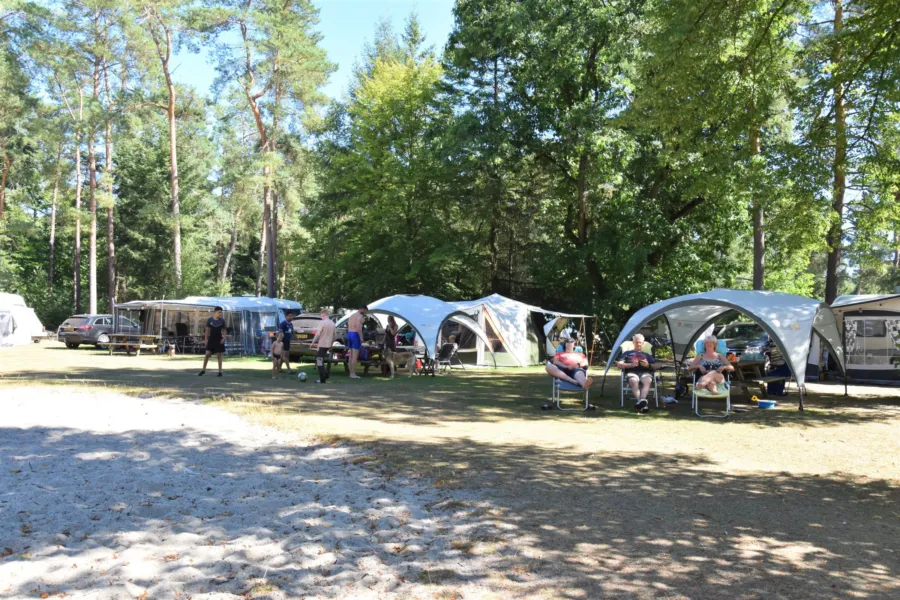 Camping Ommen campingplatz hunde erlaubt Ommerhout 4