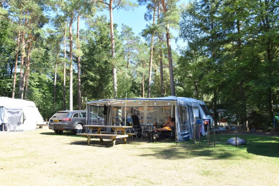 Camping Ommen campingplatz hunde erlaubt Ommerhout 6