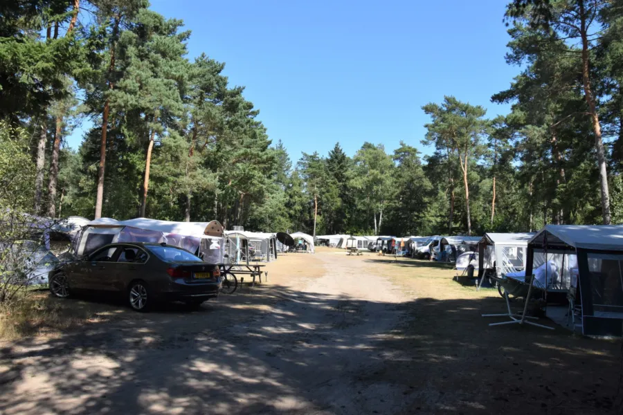 Camping Ommen Komfortplatz Ommerhout 1