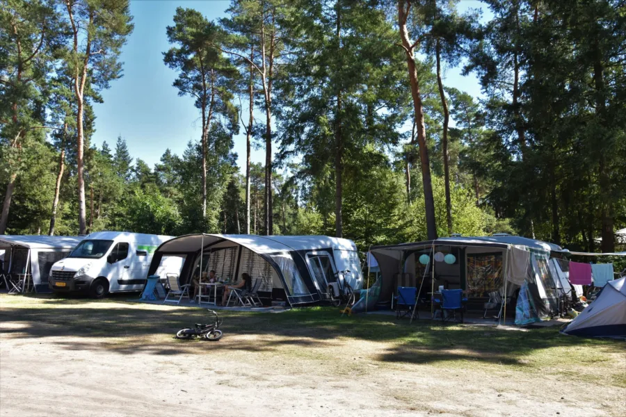 Camping Ommen Komfortplatz Ommerhout 7