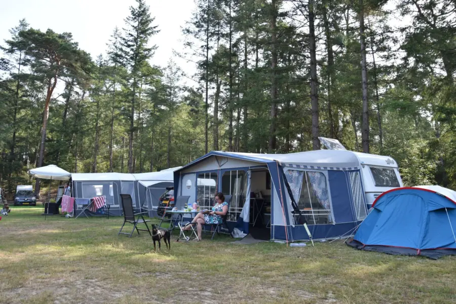 Campingplatz Ommen Campingplatz Hunde erlaubt Ommervallei 15