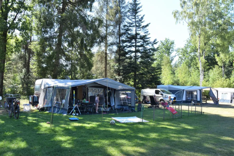 Campingplatz Ommen Stellplatz Hunde erlaubt Ommervallei 2