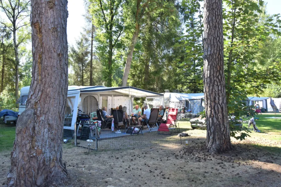 Campingplatz Ommen Stellplatz Hunde erlaubt Ommervallei 4