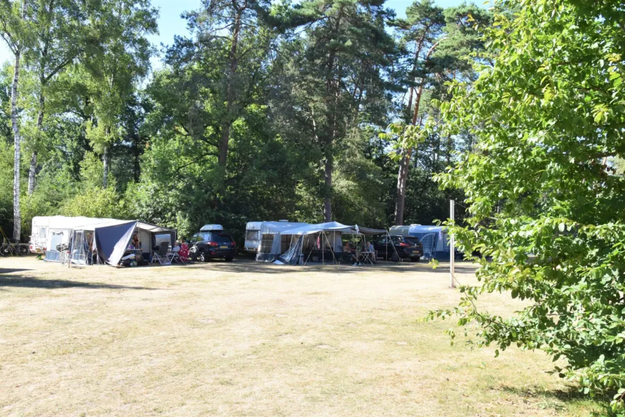 Campingplatz Ommen Stellplatz Hunde erlaubt Ommervallei 5