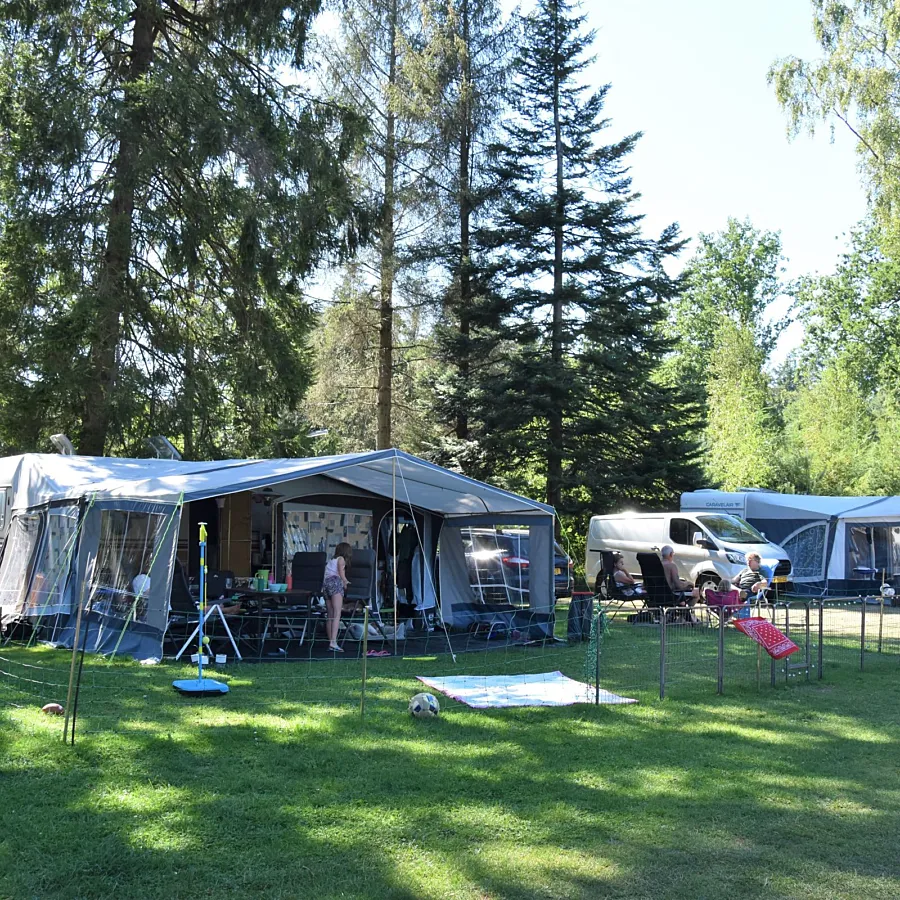 Campingplatz Ommen Stellplatz Hunde erlaubt Ommervallei 2