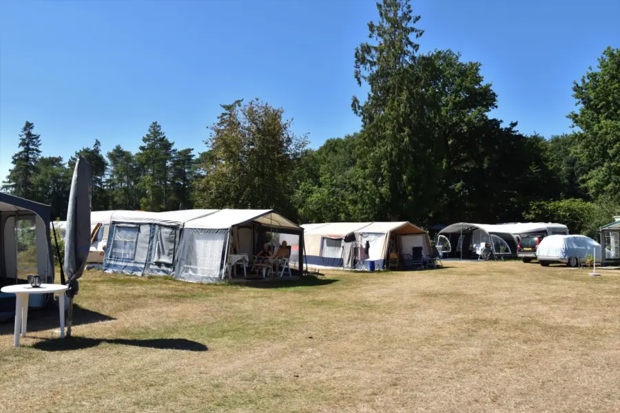 Campingplatz Ommen Stellplatz Ommergras 13