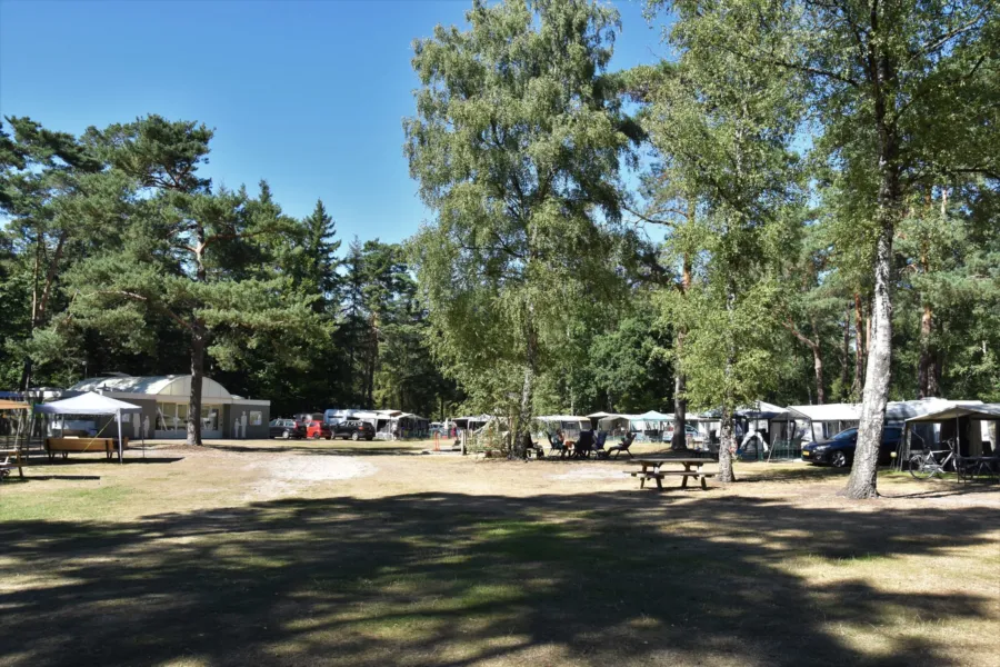 Camping mit Hund Stellplatz Ommerbos 11