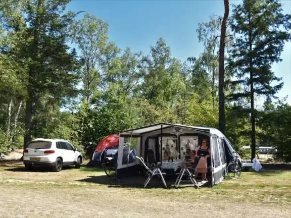 Camping met hond kampeerplaats Ommerhout 9